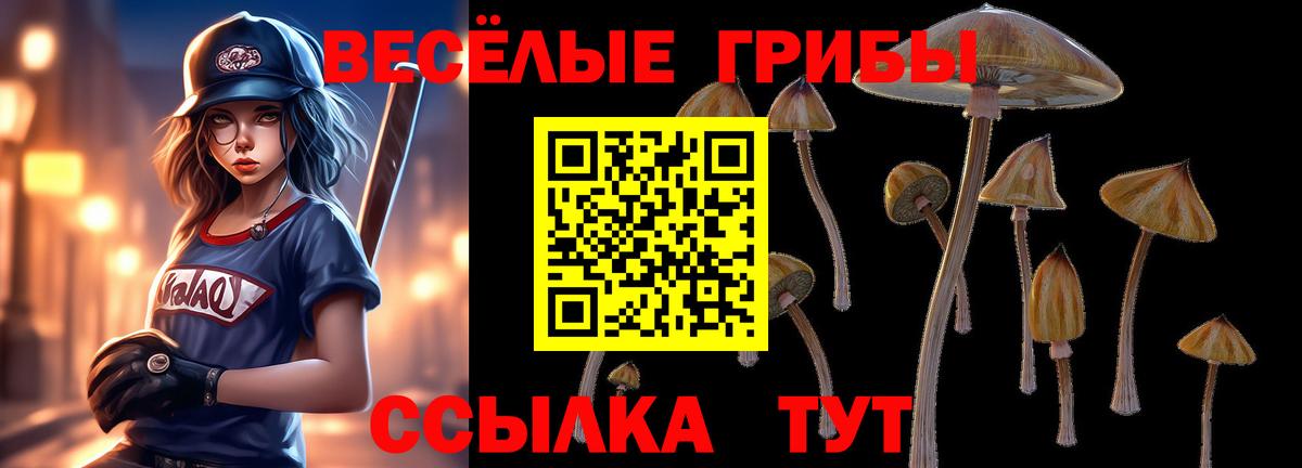 Псилоцибиновые грибы прущие грибы Владикавказ