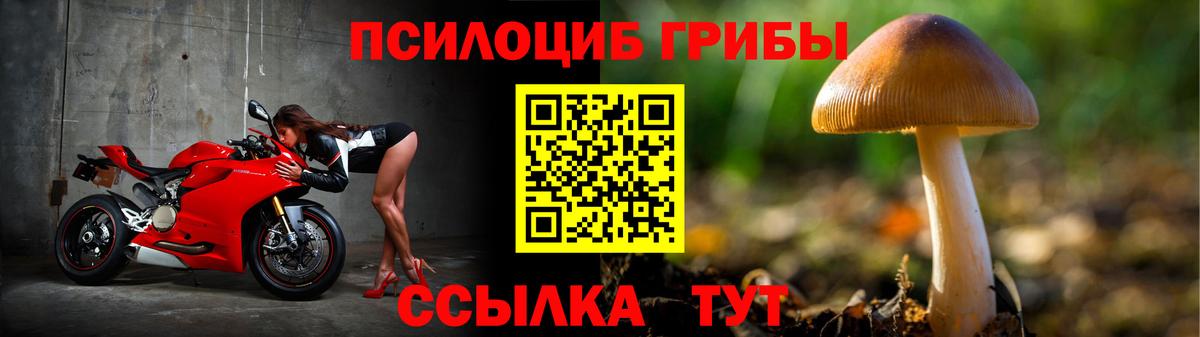 Владикавказ  Псилоцибиновые грибы Psilocybe  Вход с VPN  Галлюциногенные грибы мицелий 